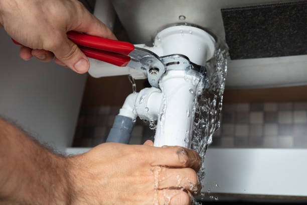 Best Mold removal after water damage  in Ripon, WI