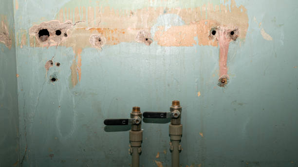 Best Water damage restoration insurance claims  in Ripon, WI