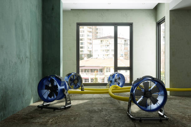 Best Water damage cleanup near me  in Ripon, WI